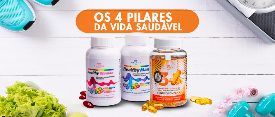 os 4 pilares da vida saudável